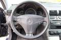 Mercedes-Benz C 220 CDI Automatik Klimaautomatik Tempomat Blau - thumbnail 16