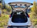 Nissan X-Trail X-Trail 2.0 dCi ALL-MODE 4x4i N-Connecta Weiß - thumbnail 5