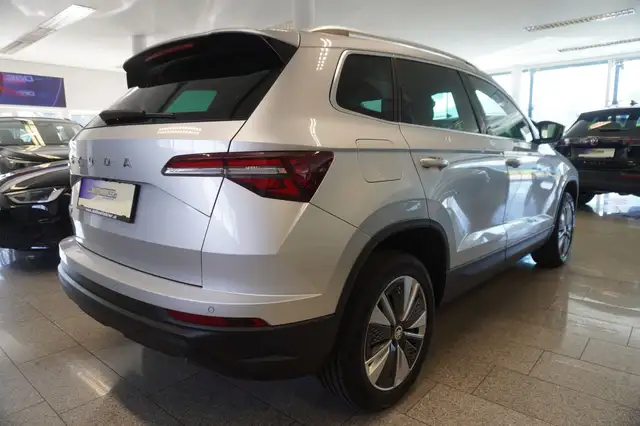 Skoda Karoq view 5