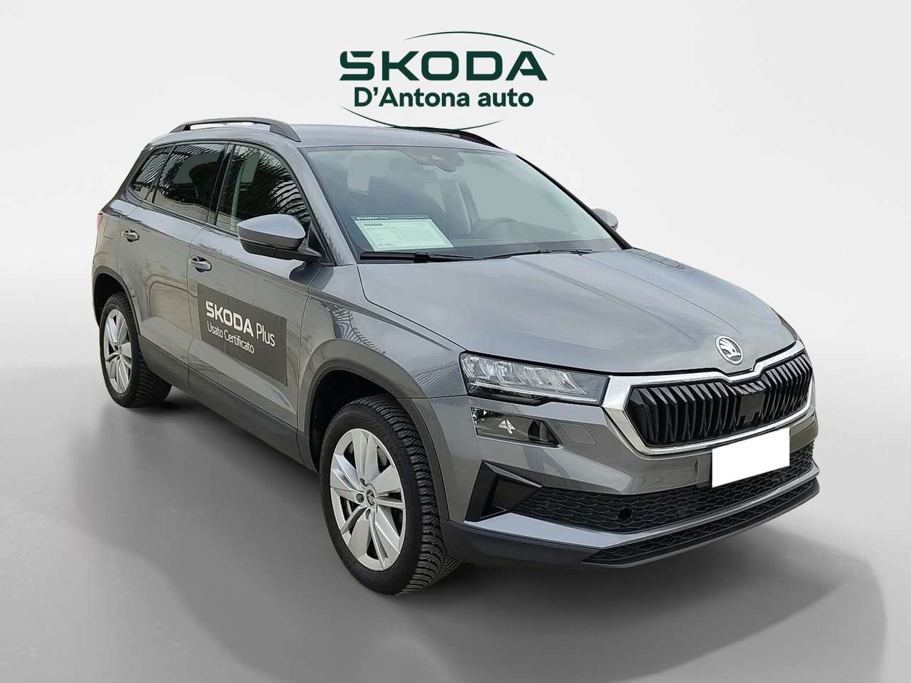 Skoda Karoq Karoq 2.0 tdi Executive 4x4 150cv dsg