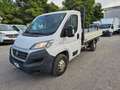 Fiat Ducato 35 2.3 MJT 130CV CASSONE FISSO Bianco - thumbnail 1