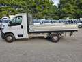 Fiat Ducato 35 2.3 MJT 130CV CASSONE FISSO Bianco - thumbnail 8