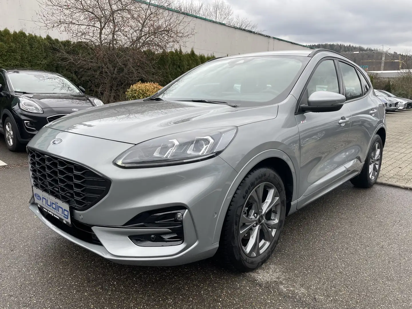 Ford Kuga 2.0 EcoBlue Aut. ST-Line AHK/ACC/RFK/BLIS Argent - 2