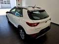Kia Stonic 1,0 TGDI GPF ISG Silber Bianco - thumbnail 3