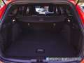 Ford Focus 1.0 Ecoboost MHEV ST-Line 125 Rojo - thumbnail 12