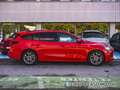 Ford Focus 1.0 Ecoboost MHEV ST-Line 125 Rojo - thumbnail 5