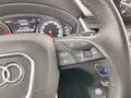 Audi Q5 2.0 TDI quattro S tr. Business Sport Blu/Azzurro - thumbnail 14
