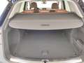 Audi Q5 2.0 TDI quattro S tr. Business Sport Blu/Azzurro - thumbnail 17