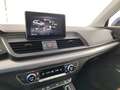 Audi Q5 2.0 TDI quattro S tr. Business Sport Blu/Azzurro - thumbnail 13