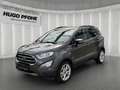 Ford EcoSport 1.0 EcoBoost Titanium Сірий - thumbnail 1
