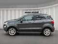 Ford EcoSport 1.0 EcoBoost Titanium Сірий - thumbnail 7