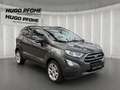 Ford EcoSport 1.0 EcoBoost Titanium Сірий - thumbnail 2