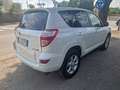 Toyota RAV 4 RAV4 Crossover 2.2 d-4d Executive 150cv auto Blanco - thumbnail 3