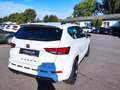 CUPRA Ateca ATECA 1.5 TSI DSG 5 J. GAR.* AHZV SITZHEIZ. NAVI Blanco - thumbnail 2