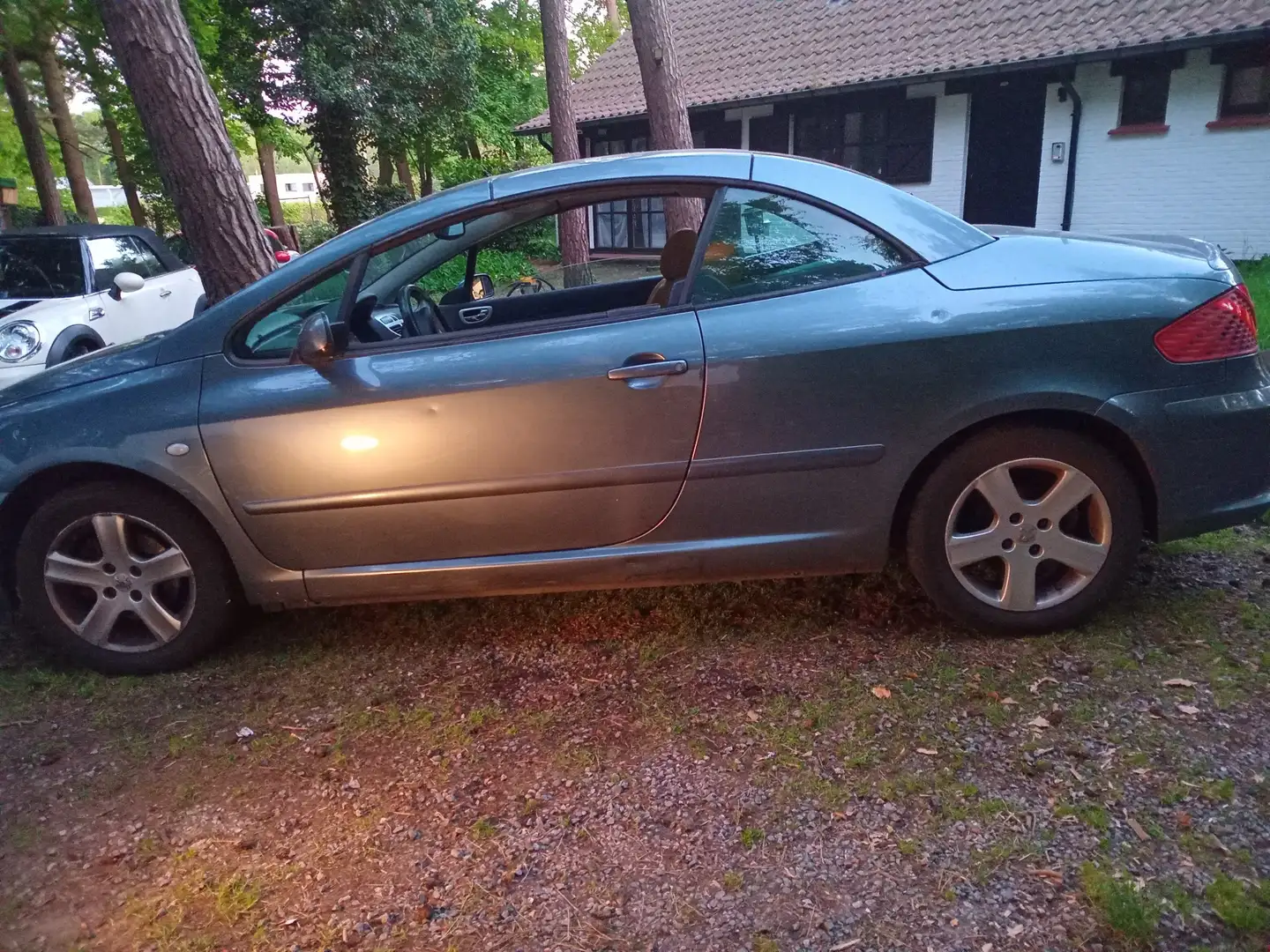 Peugeot 307 CC 110 Tendance KOPPELING WERKT NIET !! - 2