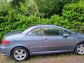Peugeot 307 CC 110 Tendance KOPPELING WERKT NIET !! - thumbnail 6