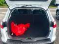 Ford Focus Focus Traveller Easy 1,0 EcoBoost Easy Weiß - thumbnail 5