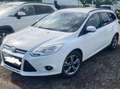 Ford Focus Focus Traveller Easy 1,0 EcoBoost Easy Weiß - thumbnail 4