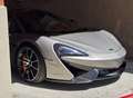 McLaren 570S 570S Coupe V8 3.8 570CV LUXURY PACK _ SERVICE BOOK COMPLETO MCLAREN UFFICIALE _ CERCHI 20" MSO (€8000) _ LIFT Grau - thumbnail 20