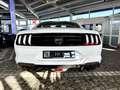 Ford Mustang GT V8 5.0 Kompressor 680 PS | 6-Gang Bianco - thumbnail 7