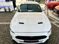 Ford Mustang GT V8 Supercharger / Kompressor 680 PS Weiß - thumbnail 30