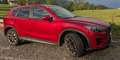 Mazda CX-5 CX-5 CD175 AWD Revolution Top Revolution Top Rot - thumbnail 7
