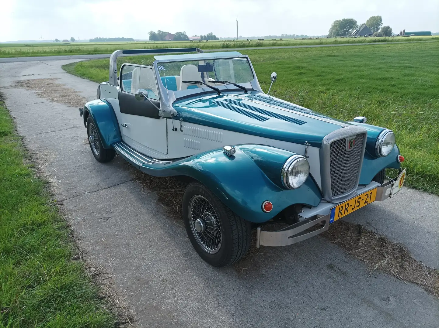 Ford Spartan MK2 2.0 Convertible KAT 1997 Blauw Cabrio Синій - 1
