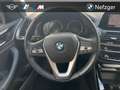 BMW X3 xDrive20i Advantage Park-Assistent Grau - thumbnail 10