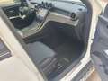 Mercedes-Benz GLC 220 D AMG Premium Plus 4matic PANORAMA Weiß - thumbnail 10