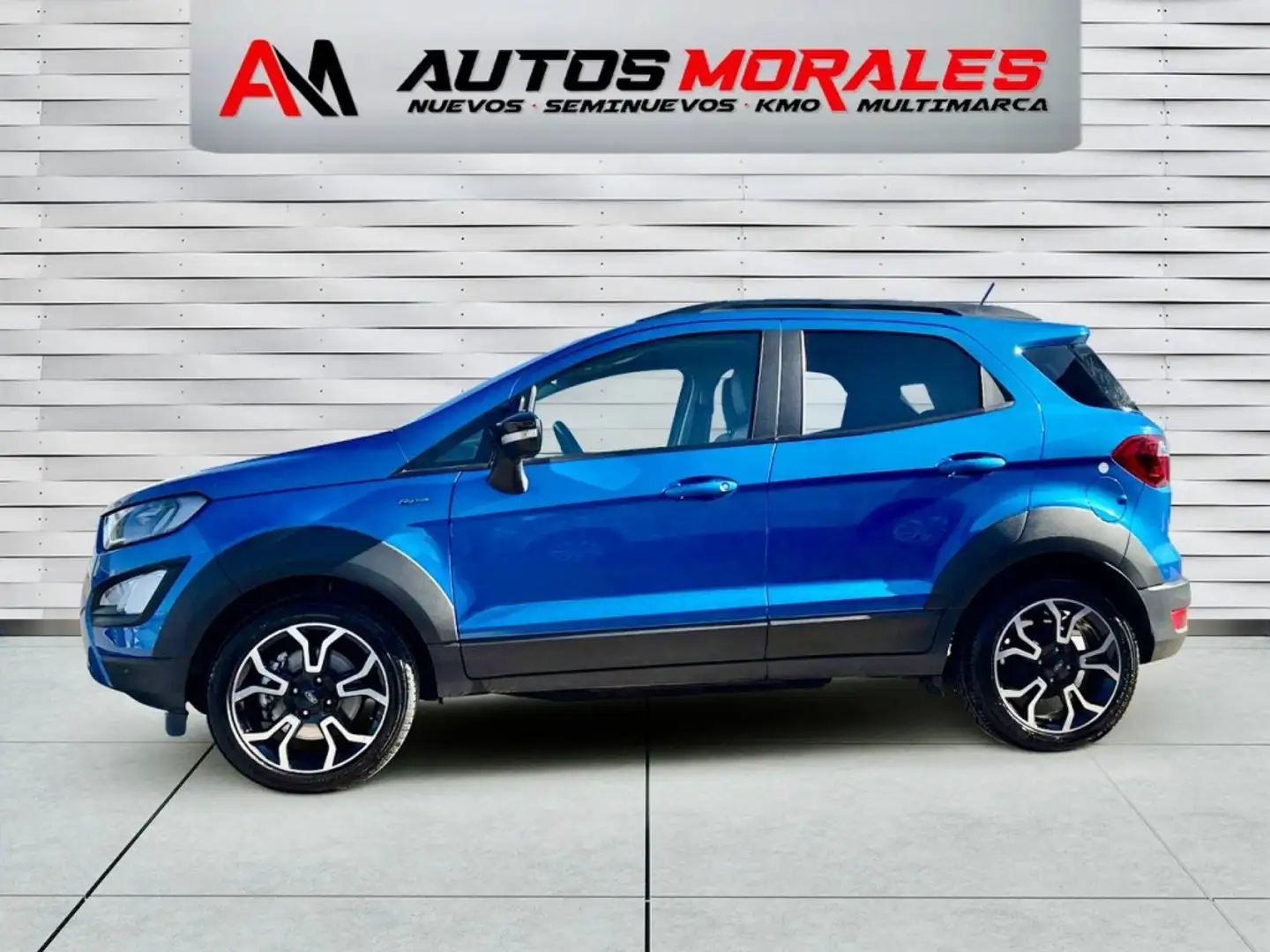 Ford EcoSport 1.0 EcoBoost Active 125 Mavi - 2