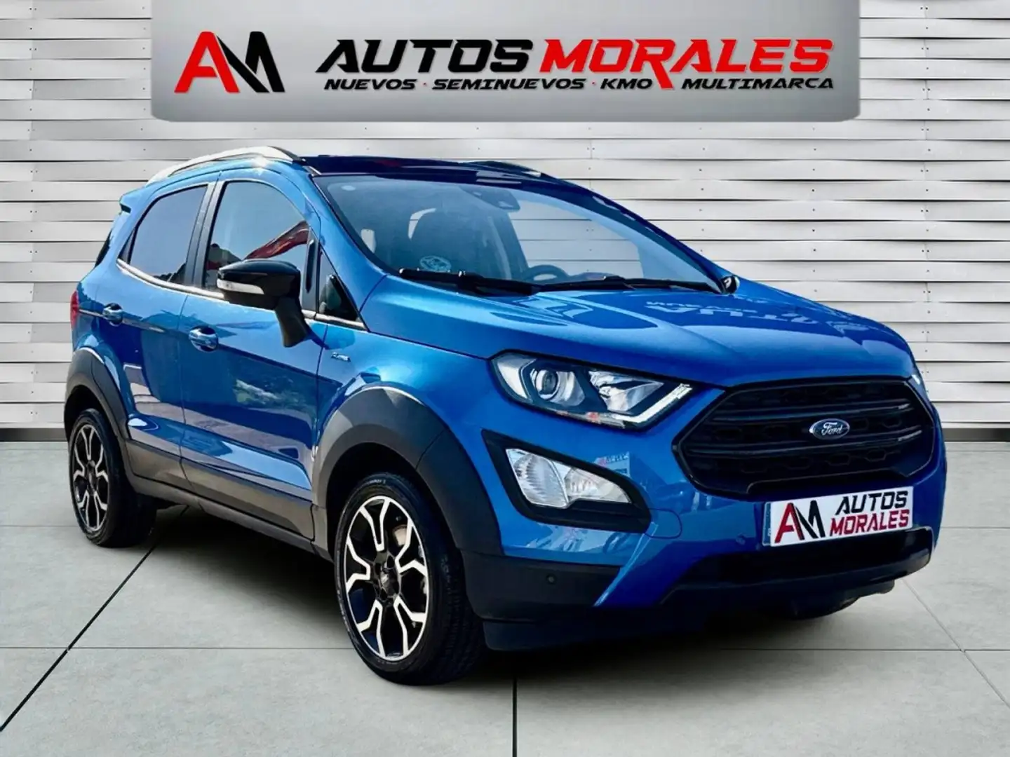 Ford EcoSport 1.0 EcoBoost Active 125 Mavi - 1