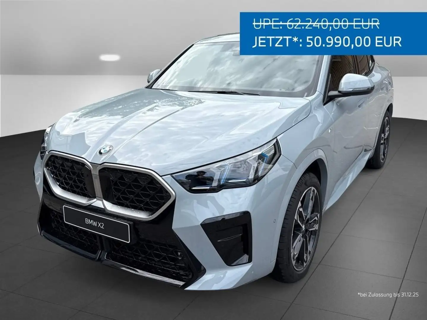 BMW X2 xDrive20d M Sportpaket HK HiFi DAB LED RFK Gris - 1