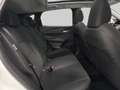 Nissan Qashqai 1.3 MHEV 160PK AUTOMAAT ACENTA PANODAK CARPLAY TEL Wit - thumbnail 12