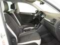 Volkswagen Tiguan 2.0TDI Urban Sport DSG 110kW Wit - thumbnail 5