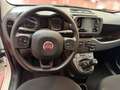Fiat Panda Panda III 2021 1.0 firefly hybrid s Blanc - thumbnail 9