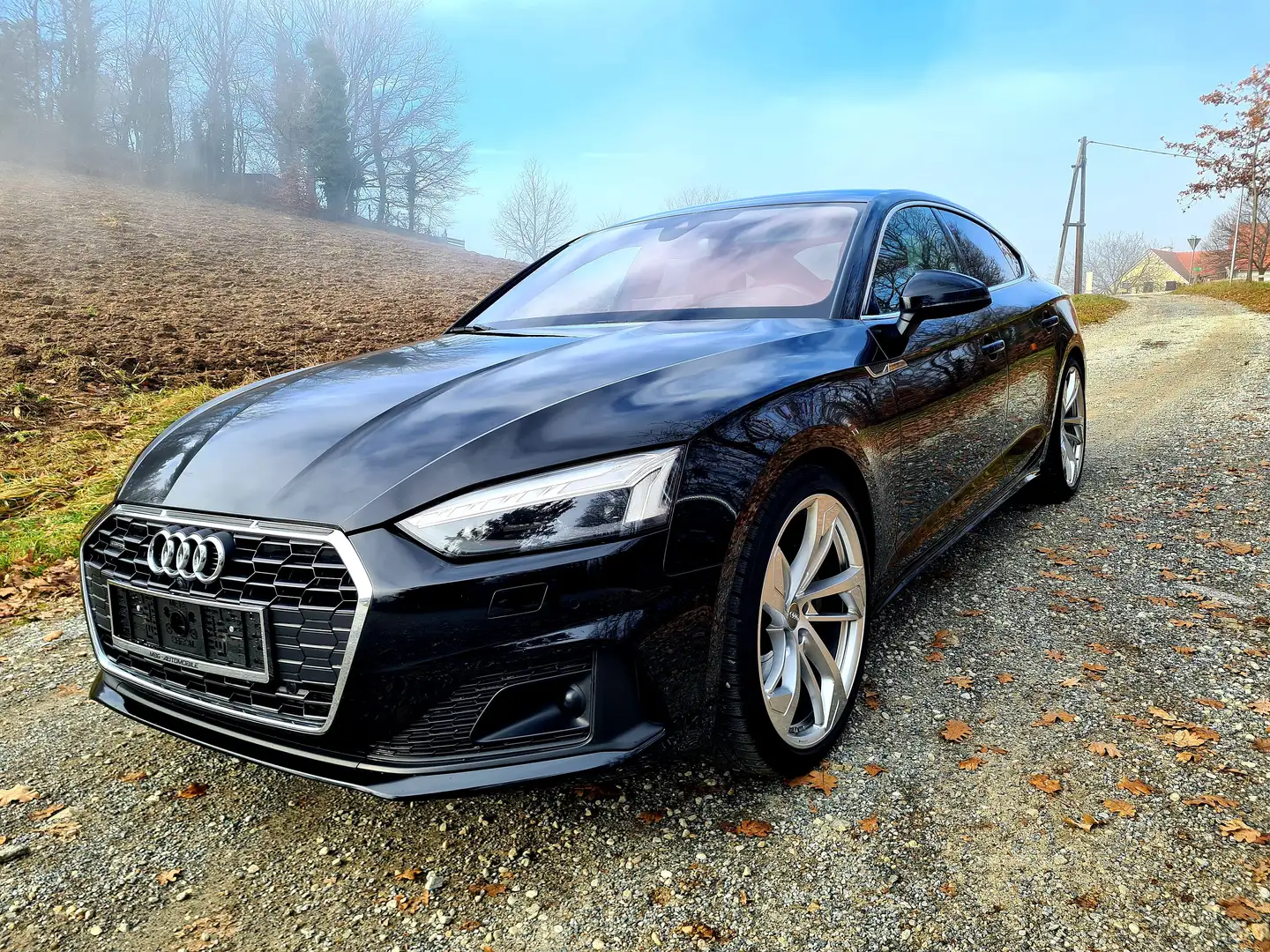 Audi A5 A5 SB 40 TDI S-tronic, AHK, Leder, LED-Matrix Schwarz - 1