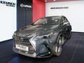Lexus NX 350h NX SUV Executive 350h FWD Grau - thumbnail 1