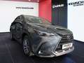 Lexus NX 350h NX SUV Executive 350h FWD Grau - thumbnail 12