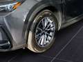 Lexus NX 350h NX SUV Executive 350h FWD Grau - thumbnail 4