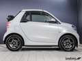 smart forTwo ForTwo Cabriolet EQ Prime LED/22 kW/DAB/ Kamera/ Blanc - thumbnail 4