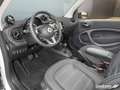 smart forTwo ForTwo Cabriolet EQ Prime LED/22 kW/DAB/ Kamera/ Blanc - thumbnail 10