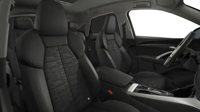 Audi Q5 view 9