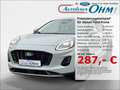Ford Puma Titanium 1.0 EcoBoost Mild Hybrid - RFK - Navi - Grau - thumbnail 1