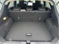 Ford Puma Titanium 1.0 EcoBoost Mild Hybrid - RFK - Navi - Grau - thumbnail 20