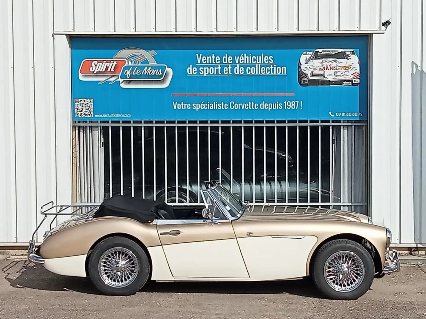 Austin-Healey 3000 3000 MK2 BJ7 Oro - 2