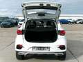 MG ZS 111PS Autm. Luxury LED Klima Navi Pano Weiß - thumbnail 5