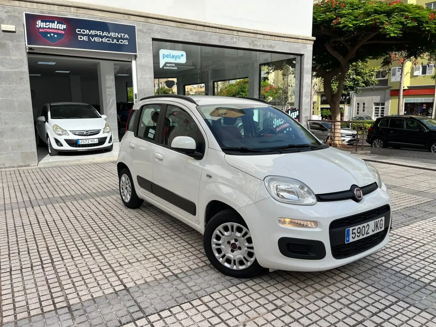 Fiat Punto 1.2 S&S Young 51kW E6 Blanc - 1