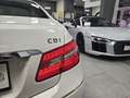 Mercedes-Benz E 350 CLASSE E 231CV CDI AVANTGARDE! 59.000KM_FATTURE!!! Wit - thumbnail 6