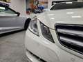 Mercedes-Benz E 350 CLASSE E 231CV CDI AVANTGARDE! 59.000KM_FATTURE!!! Wit - thumbnail 2