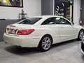 Mercedes-Benz E 350 CLASSE E 231CV CDI AVANTGARDE! 59.000KM_FATTURE!!! Wit - thumbnail 23